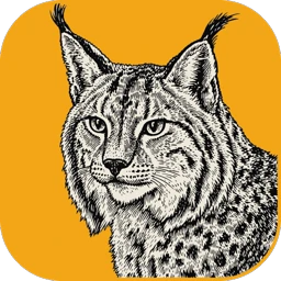 LightCraft official application icon